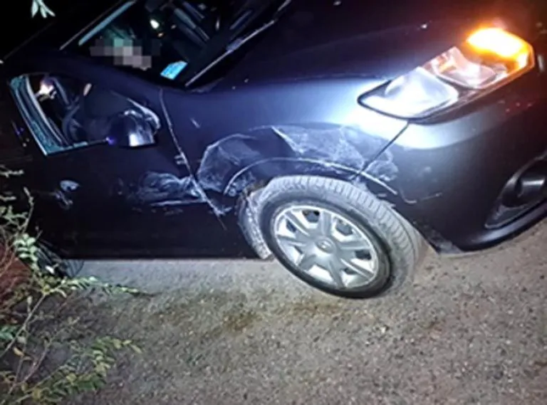 En el Renault Sandero viajaban dos personas de 31 y 37 años junto a una menor de 10.
