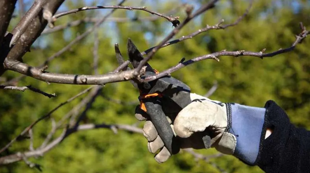 Hasta fines de agosto estará habilitada hasta fines de este mes. (Foto archivo)