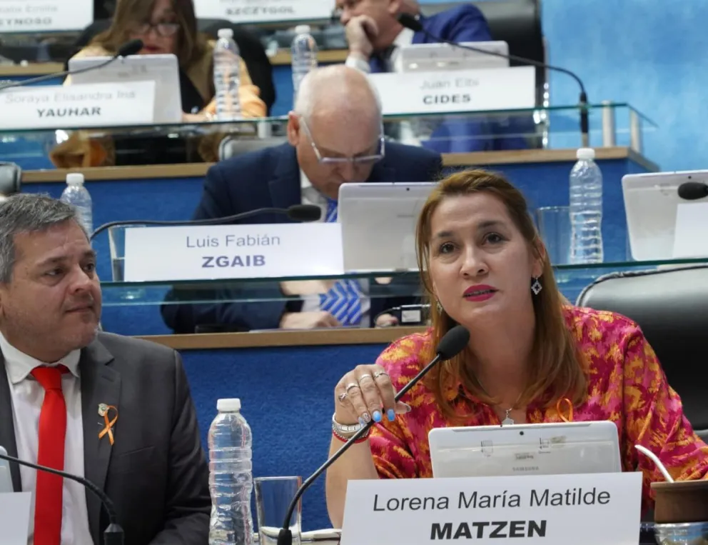 La legisladora radical respaldó la postura del gobernador Weretilneck (Archivo).