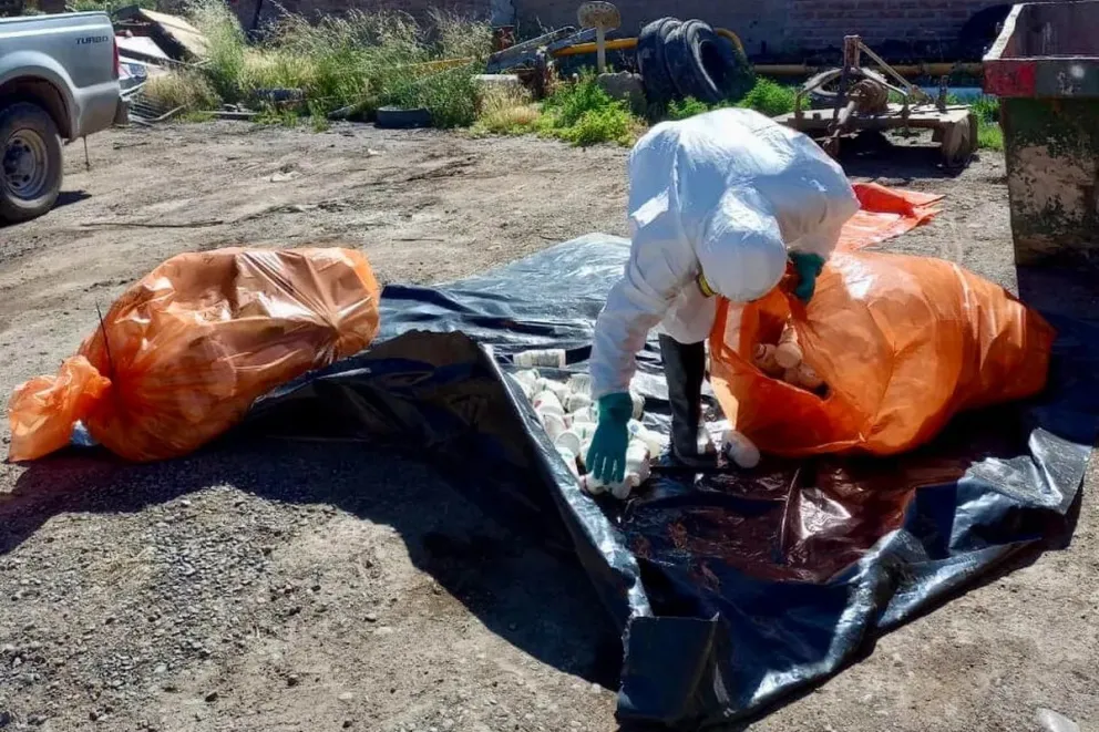 En diciembre se hará una nueva campaña de recepción de envases vacíos de plaguicidas. Foto: archivo