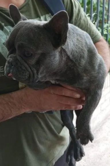 Mia fue recuperada anteanoche en Chichinales