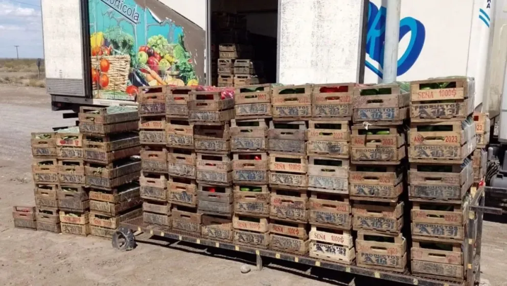 Venían en un transporte de pasajeros que provenía de Tucumán. (Foto SENASA)