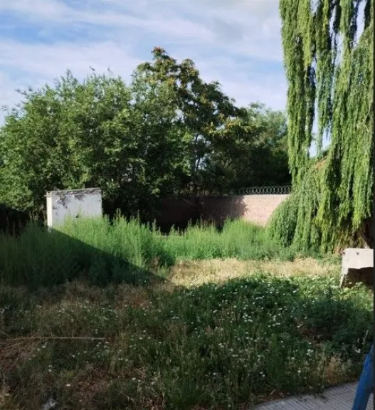 Para acceder a las instalaciones se aprovech&oacute; un bald&iacute;o que linda con la parte trasera del correo.