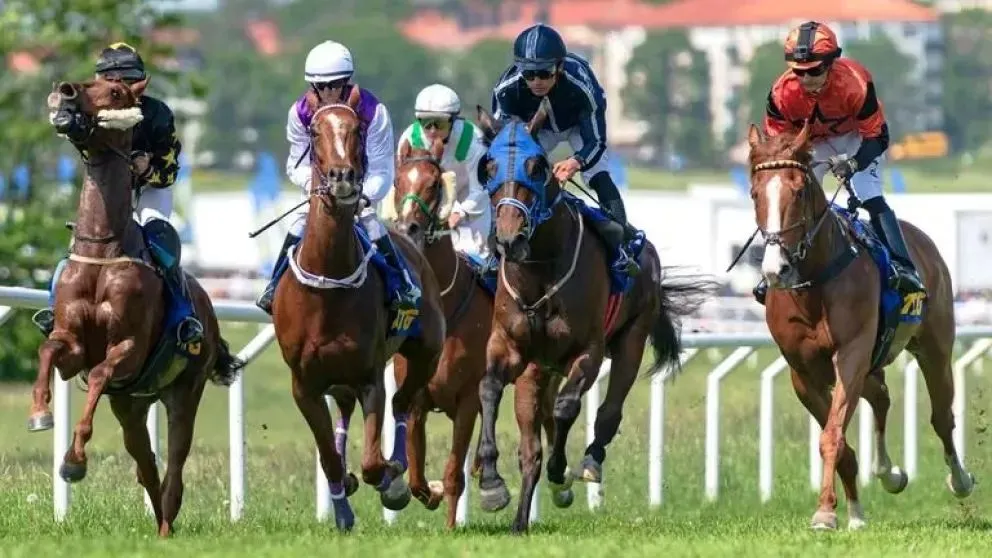 Preocupación por lo ocurrido en Regina y Roca.