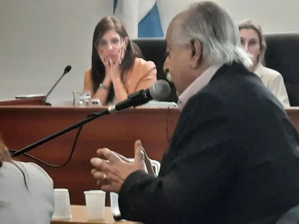 En la cuarta jornada del juicio, el forense Handam sostuvo que Otoño fue asesinada con un objeto punzo cortante. Foto: Cipo360.