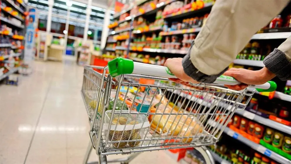 Proyección de las consultoras privadas.