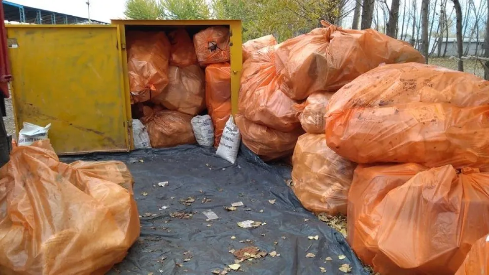 Los envases vacíos deben ser trasladados al Centro de Acopio en el Corralón Municipal. (Foto gentileza)