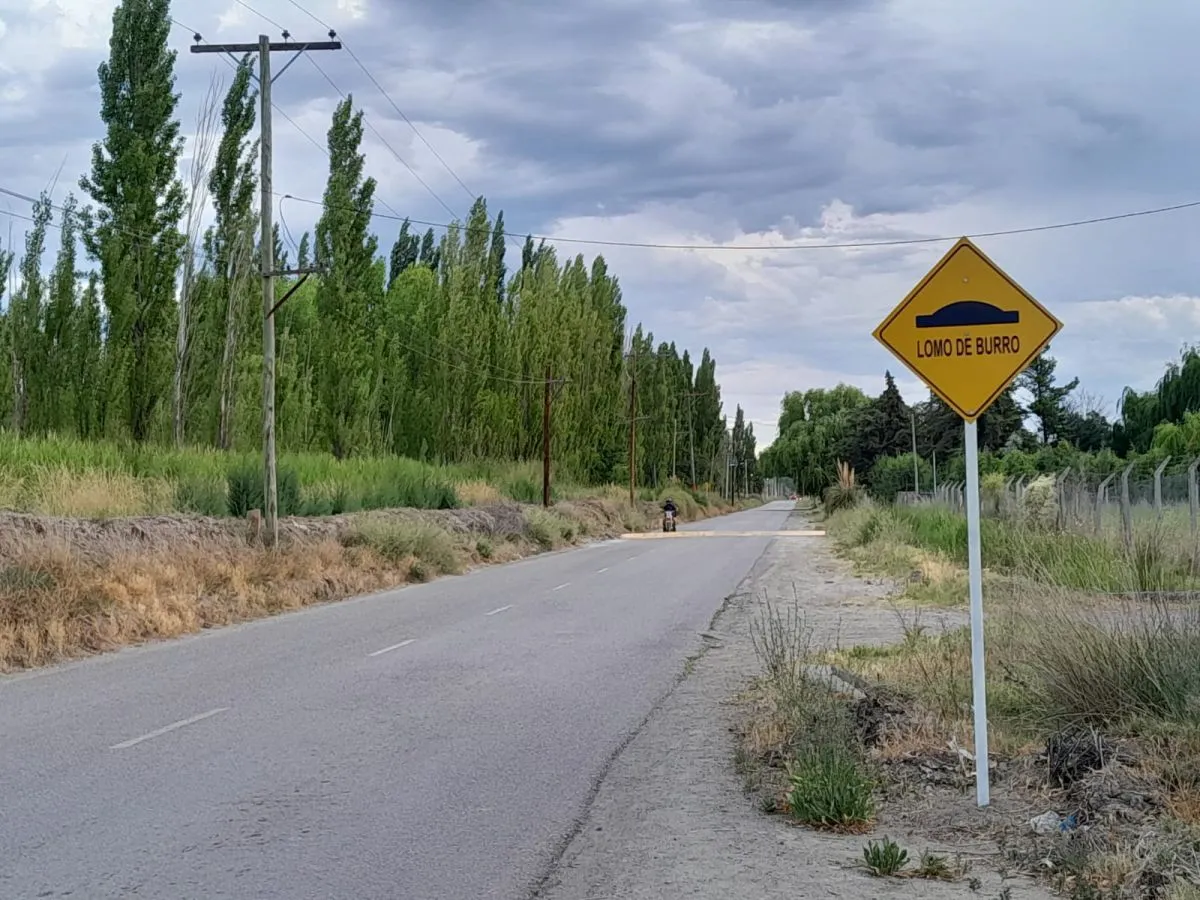 Adem&aacute;s de la carteler&iacute;a, los reductores fueron pintados.