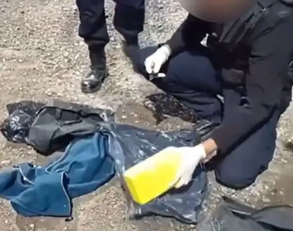 Las 15.000 dosis de cocaína eran transportadas en un micro con destino a Roca. Foto (Gentileza).