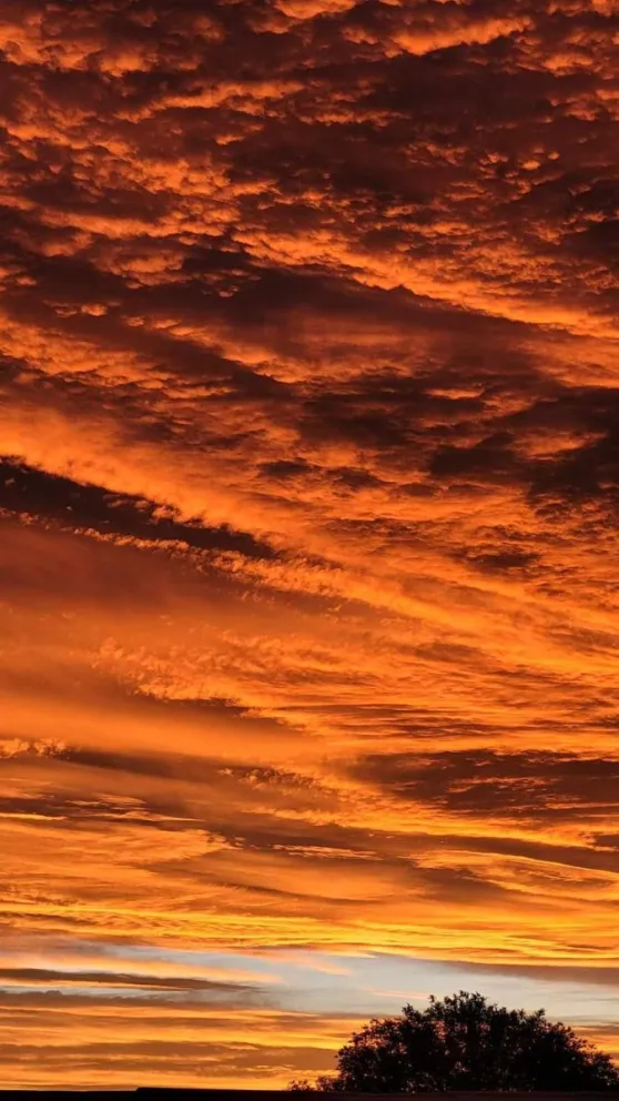 Un atardecer reginense capturado por una lectora (Foto: Karen de Fornagueira)