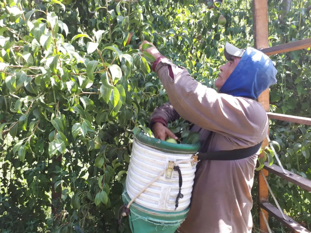 (Imagen archivo LCR) 