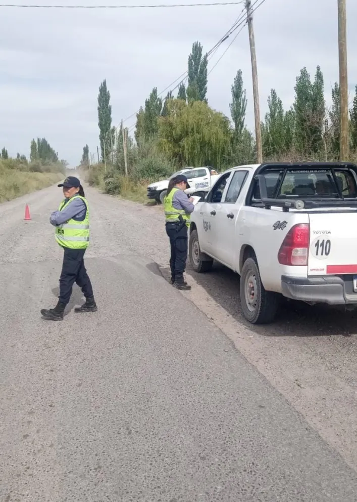 Los dos operativos se llevaron a cabo en la tarde de ayer en un calle rural y la Ruta 65 (foto ilustrativa)