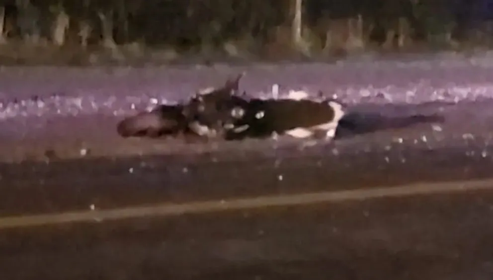 La moto Rousser era conducida por el joven reginense que circulaba en dirección a Regina (Foto ANRoca).