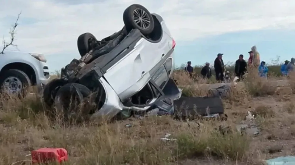 Impactaron en el kilómetro 204 de la ruta nacional, en cercanías a la localidad de Puelches. (Foto: gentileza ANRoca).