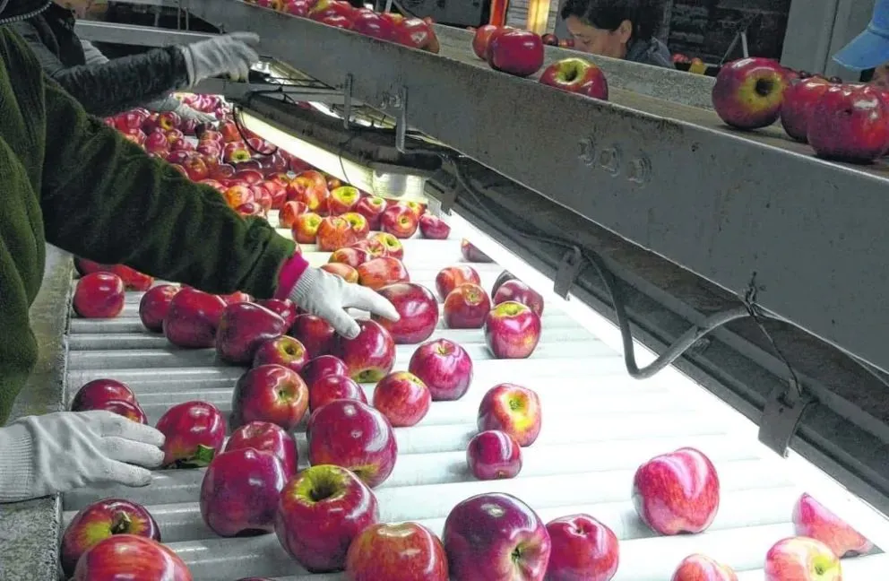Según el sindicato de la Fruta la oferta no es acorde a la realidad económica ni a las expectativas de los trabajadores. | Foto (archivo)