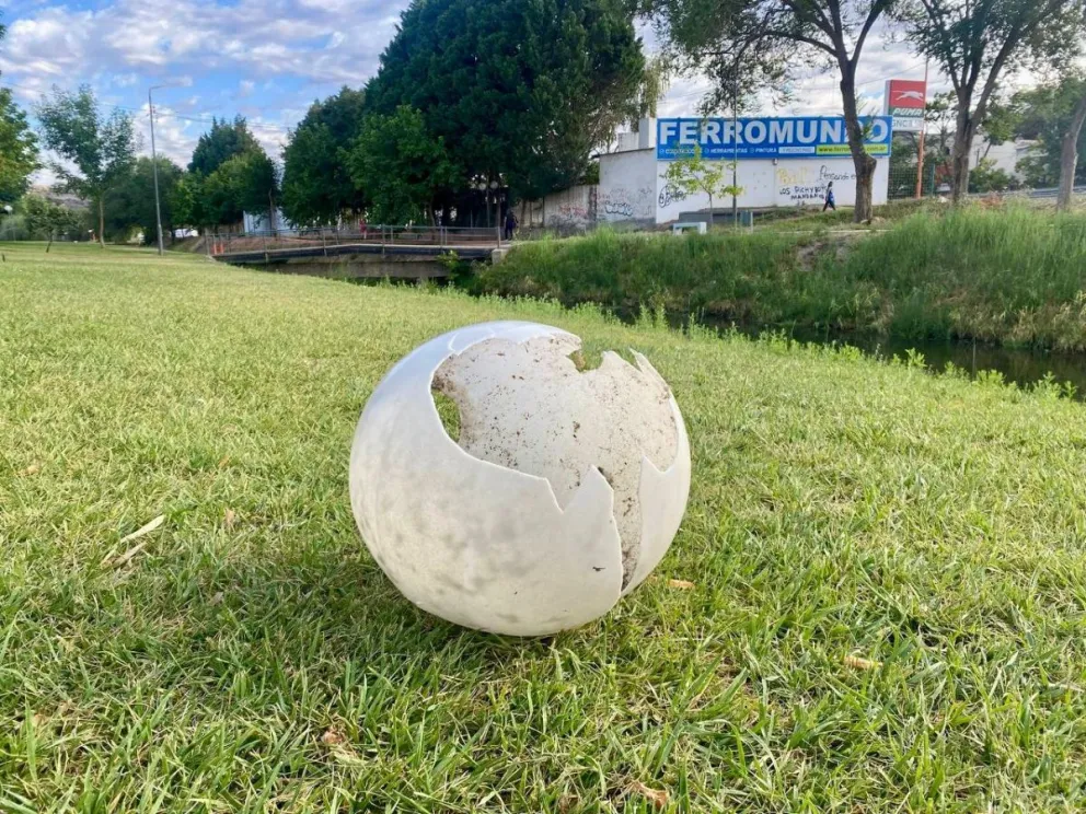 (Imagen: Municipalidad de Villa Regina)