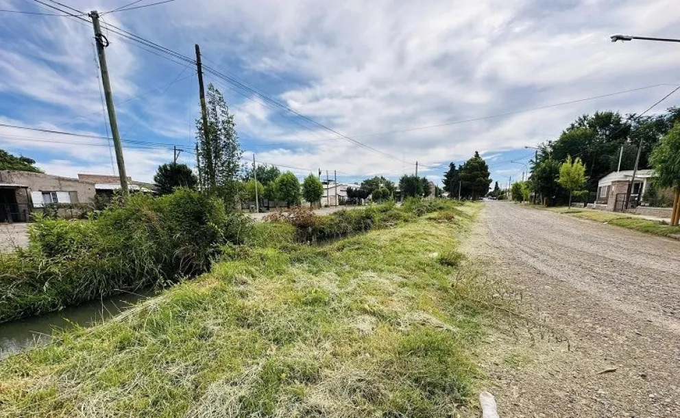 Piden a los propietarios limpiar sus baldío y evitar sanciones. (Foto archivo)