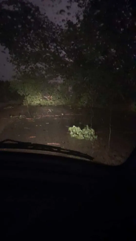 Importantes daños en el tendido eléctrico y transformadores dejó el temporal de esta tarde en la zona (Foto gentileza).