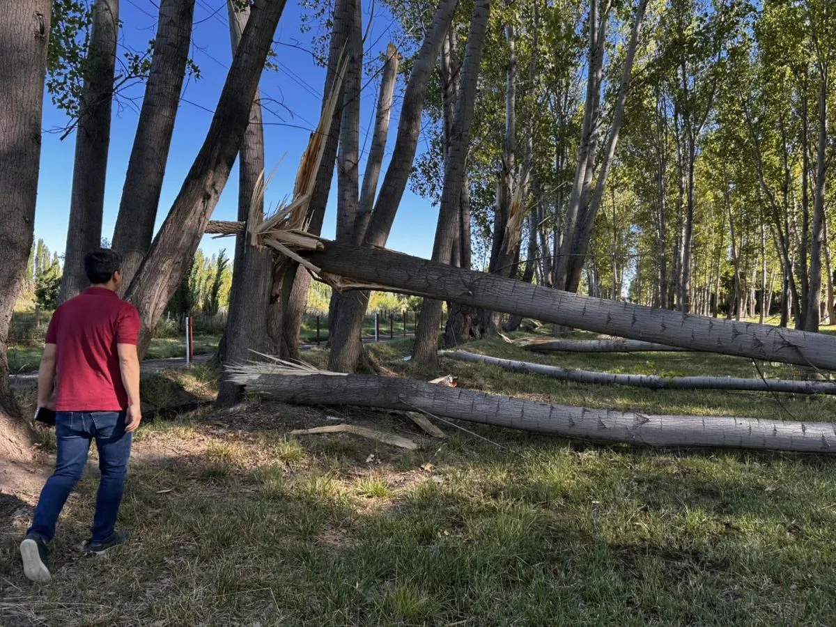 Temporal en Chichinales