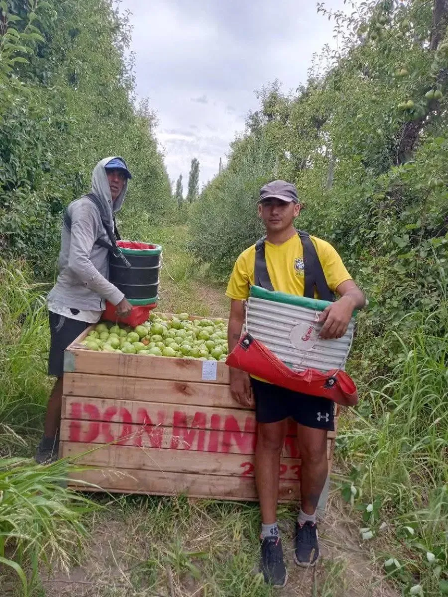 Cristian y su hijo Javier trabajando en la cosecha, su familia lo busca desesperadamente. | Foto (gentileza)