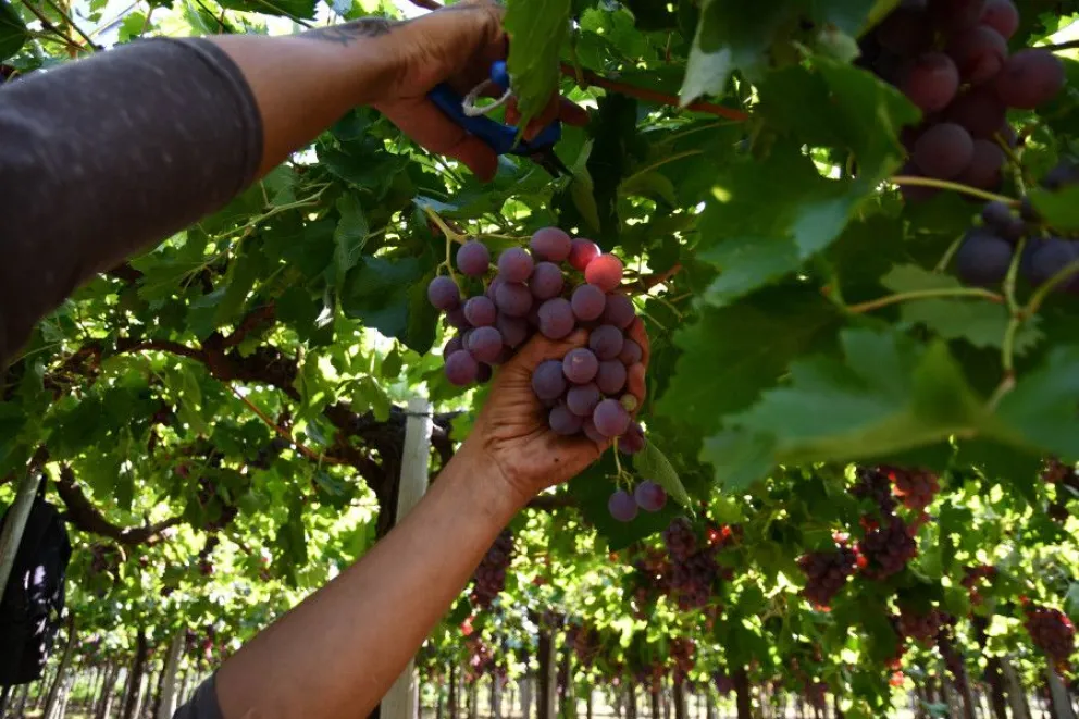 El robo fue denunciado esta mañana (Foto archivo). 