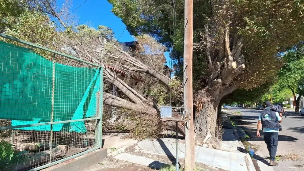 Apagones y destrozos tras el temporal en localidades rionegrinas. | Foto (Daniela Luján)