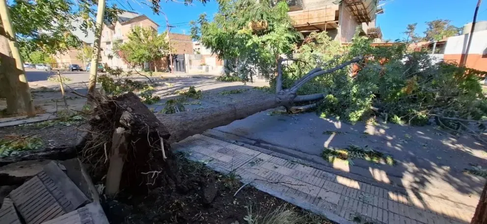 Varios barrios sufrieron la falta de agua y luz durante varias horas. | Foto (Daniela Luján)