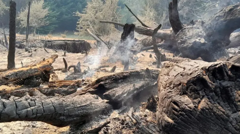 Incendios en la zona de El Bolsón.
