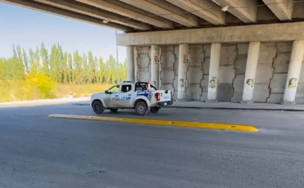 Fueron retenidas ante la falta de documentación y demás infracciones. 