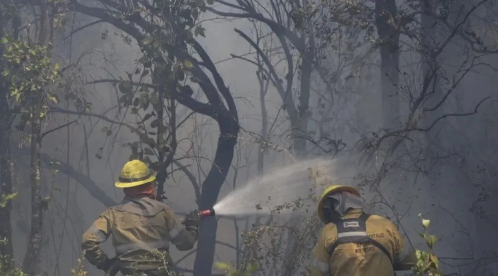 "Estamos cuidando mucho que no llegue a la Ruta 40, donde está la planta de gas, ni al centro de la ciudad de El Bolsón", afirmó el jefe de bomberos. (Imagen gentileza: El Cordillerano)