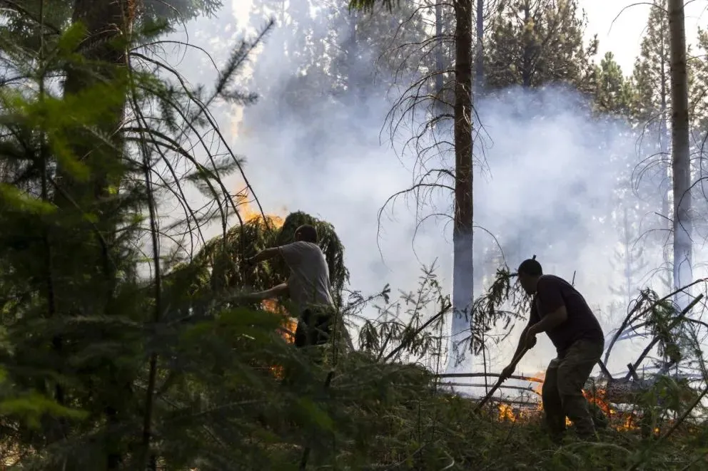 El fuego arrasó con viviendas, animales y medios de vida. (Foto: Euge Neme).