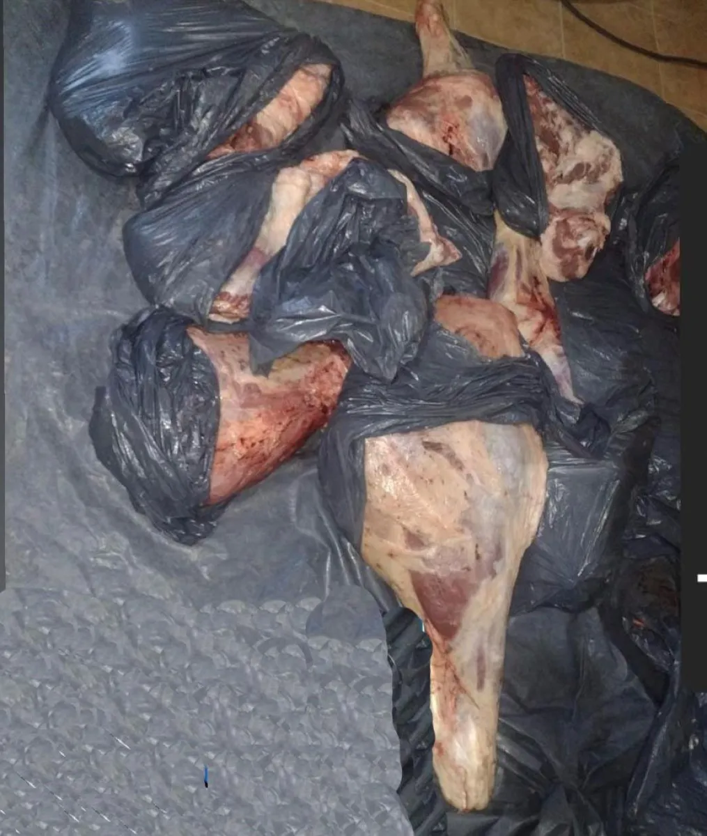 Polic&iacute;a inform&oacute; que la carne no ten&iacute;a sello ni las medidas sanitarias correspondientes. 
