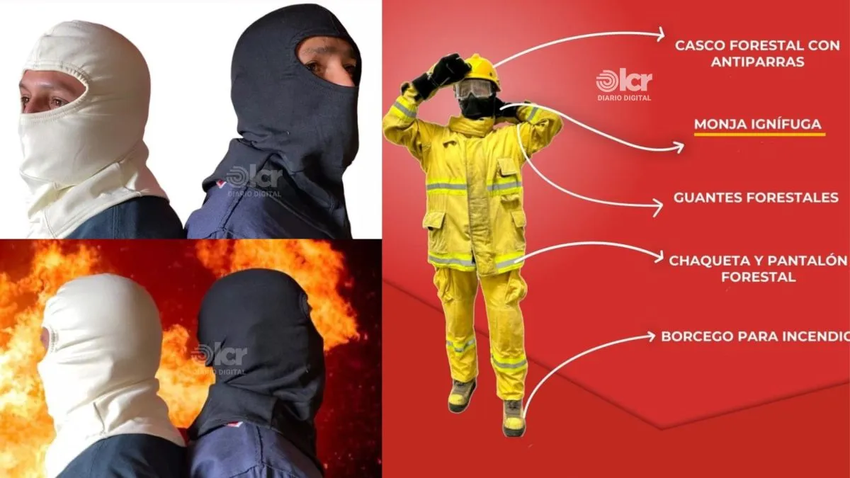 Imagen con fines ilustrativos