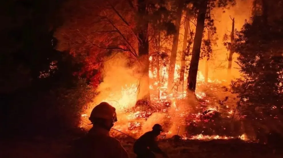 El titular de Parques habló de "golpes incendiarios perpetrados por delincuentes".