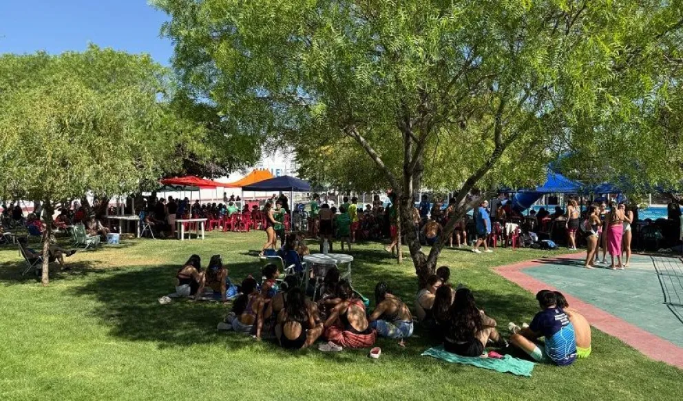 Nueve clubes de distintas ciudades de Río Negro y más de 200 nadadores participan del Provincial de Natación. (Foto Celeste Cerezuela)
