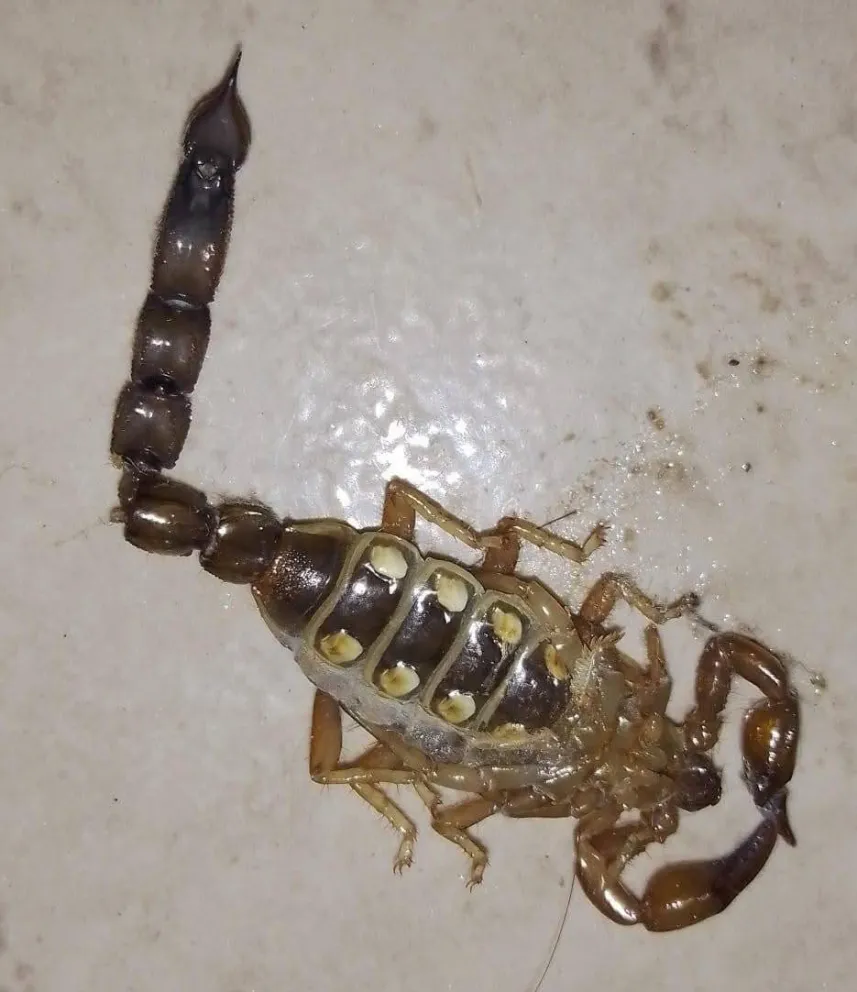 El Ministerio de Salud dio recomendaciones (Foto: gentileza lector LCR)