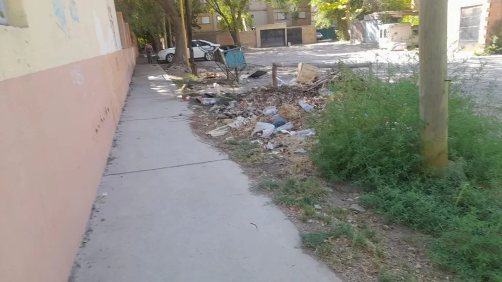 Los residuos se encuentran en un sector cercano a calle Ranqueles.