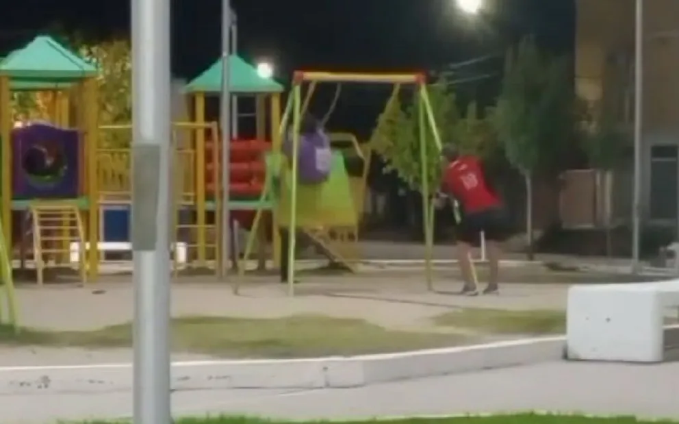 Los jóvenes fueron filmados haciendo uso indebido de la hamaca. (Imagen de video)