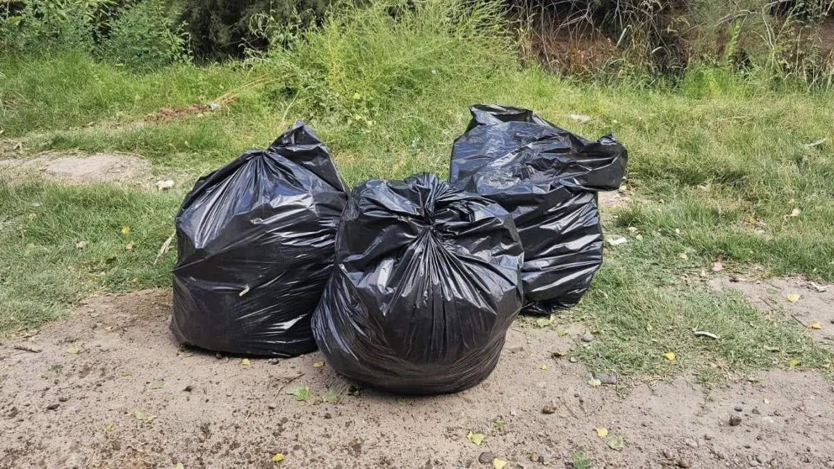 En los &uacute;ltimos d&iacute;as hubo tareas de limpieza en calle Bolivia. 