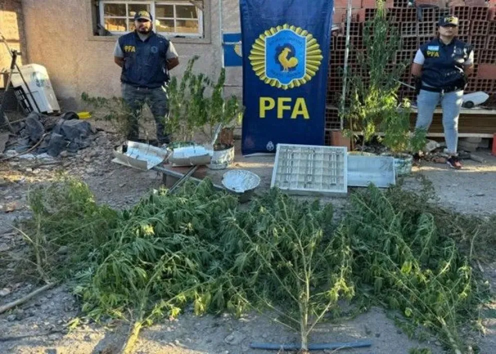 (Foto Policía Federal Argentina)
