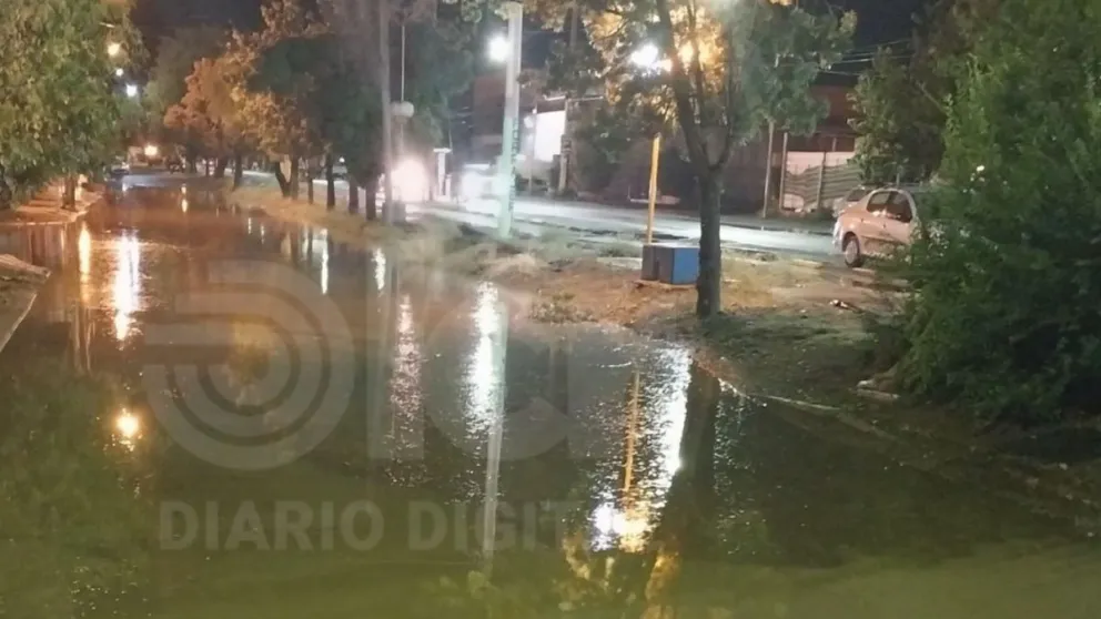 Ocurrió el viernes. (Imagen: vecinos de barrio Los Fresnos)
