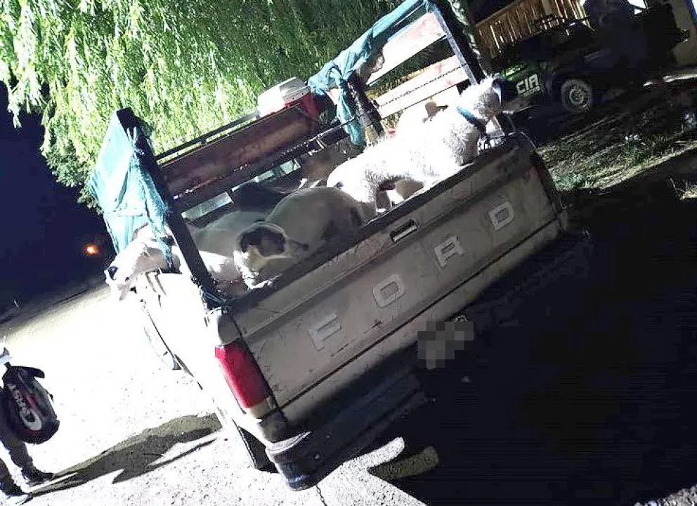Las cuatro ocupantes eran oriundos de Mainqué y Cervantes (Foto Policía RN).