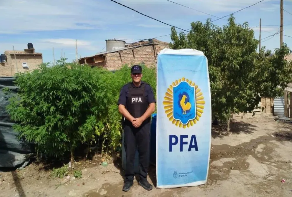 También incautaron armas de fuego, celulares, dinero en efectivo. (Foto gentileza)