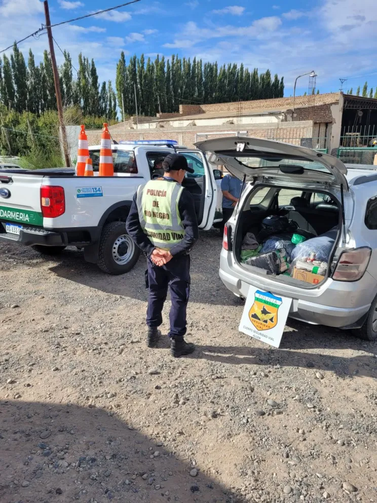 El cargamento fue secuestrado durante un operativo de control realizado sobre la ruta 22. Foto: Policía Río Negro.