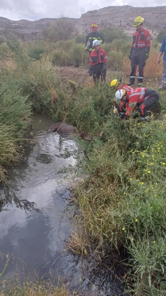 El rescate se produjo en horas del mediodía y en la zona de pie de barda este de la ciudad. 