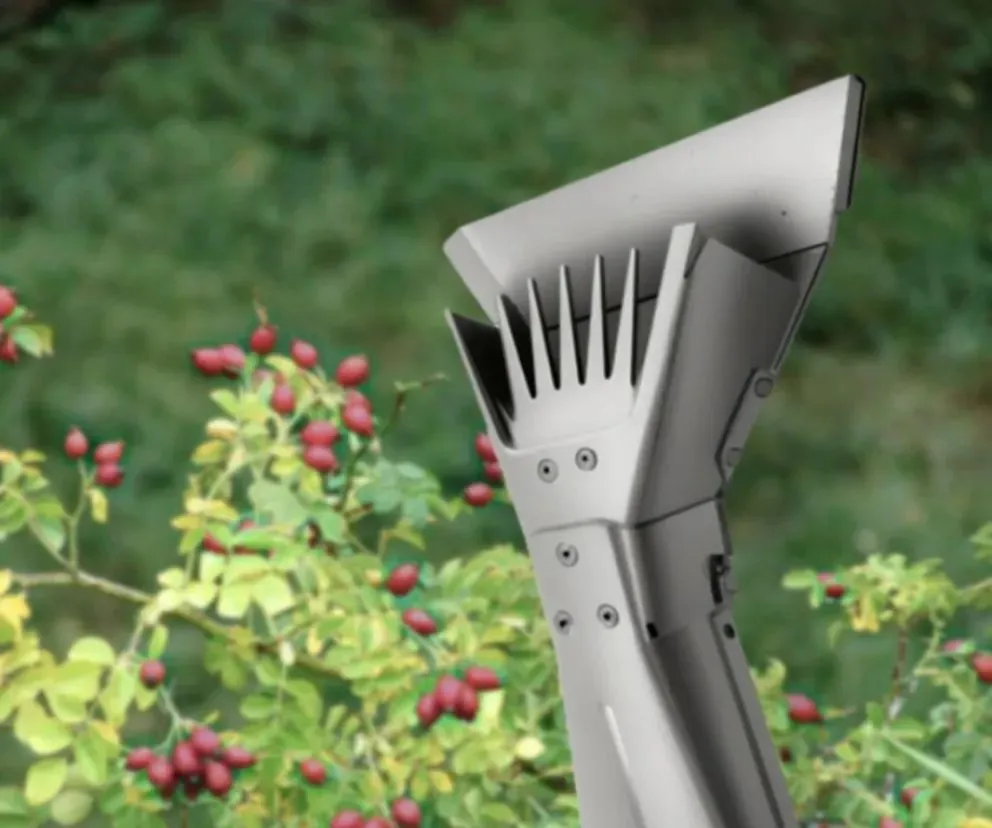 Tiene la forma de una tijera de peluquero. Ilustración gentileza UNRN.