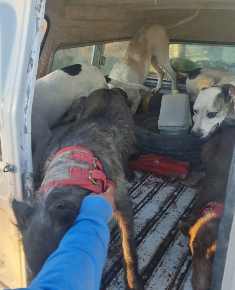 El control se realizó en cercanías al puente durante el fin de semana (foto Policía RN).