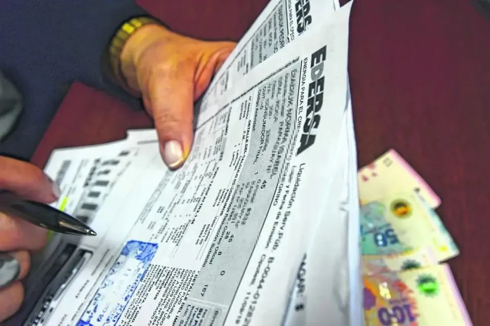 Edersa pide un aumento del 13 por ciento que le permita absorber los costos extraordinarios por los incendios en la cordillera. Foto (archivo).