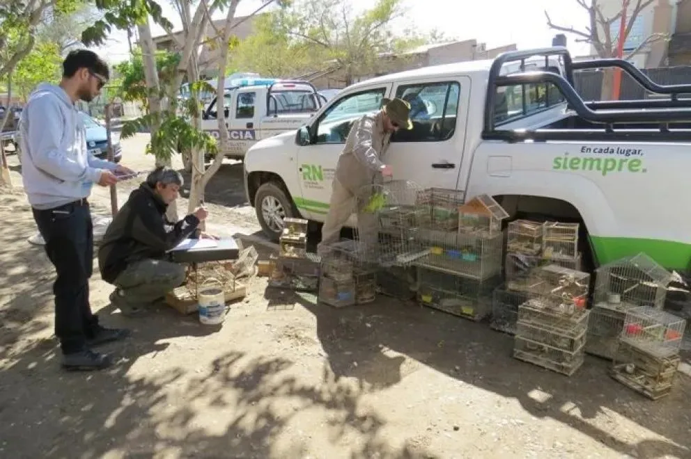 Los guardafaunas realizan operativos en toda la región protegiendo la fauna silvestre.