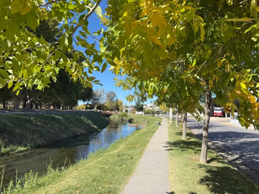 ¿Tienen planes para hoy?